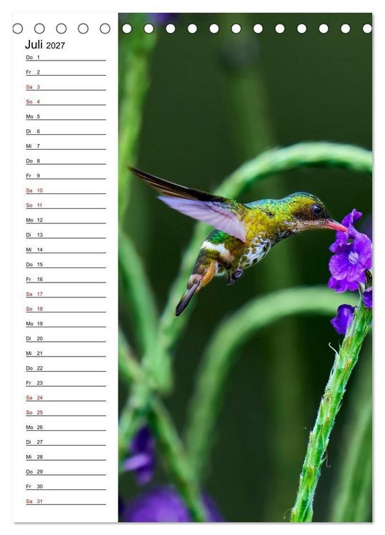 Produktbild: Costa Rica - Magische Tiere des Regenwaldes (Tischkalender 2027 DIN A5 hoch), CALVENDO Monatskalender