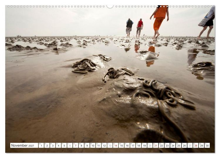 Produktbild: Meerblick - die Nordsee (Wandkalender 2027 DIN A2 quer), CALVENDO Monatskalender