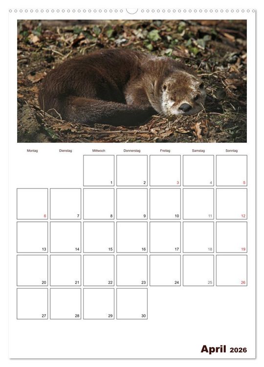 Produktbild: Der Fischotter-Terminplaner (Wandkalender 2026 DIN A2 hoch), CALVENDO Monatskalender