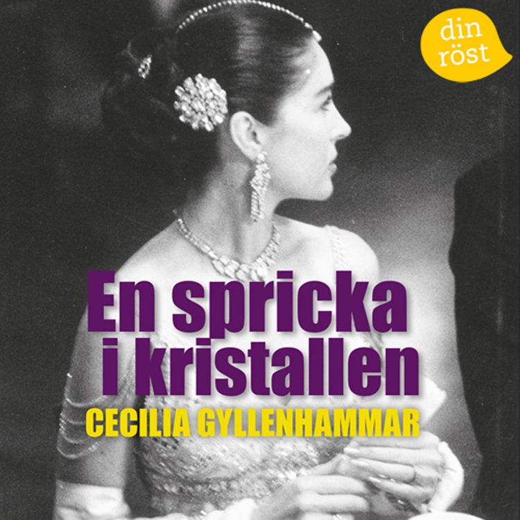 Produktbild: En spricka i kristallen