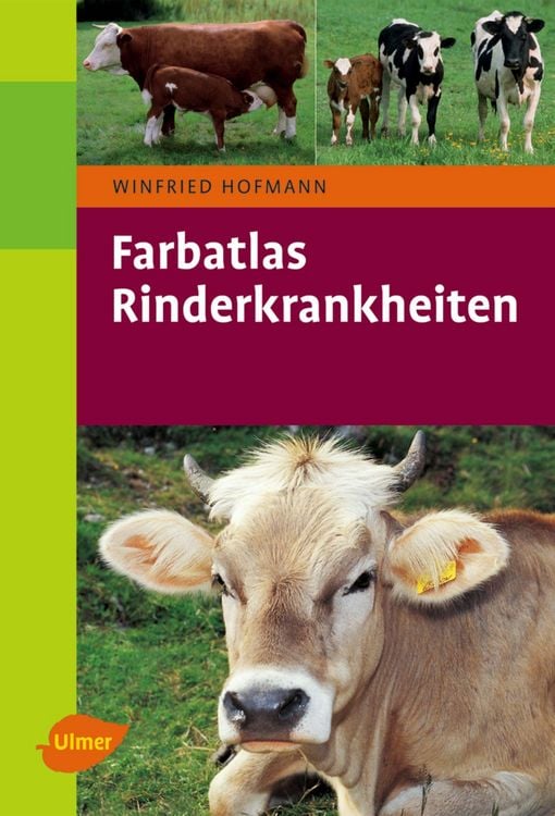 Produktbild: Rinderkrankheiten