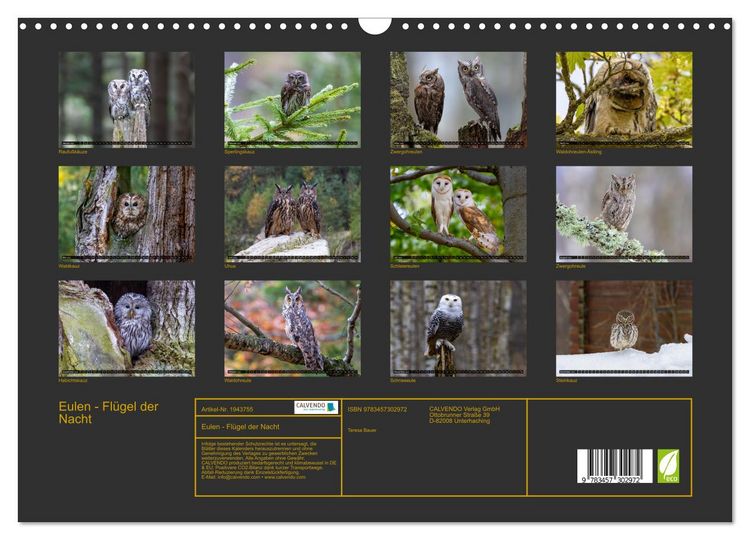 Produktbild: Eulen - Fl&uuml;gel der Nacht (Wandkalender 2026 DIN A3 quer), CALVENDO Monatskalender