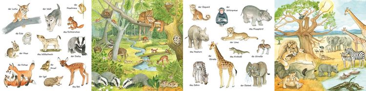 Produktbild: Mein kleines buntes Bildw&ouml;rterbuch: Viele Tierkinder