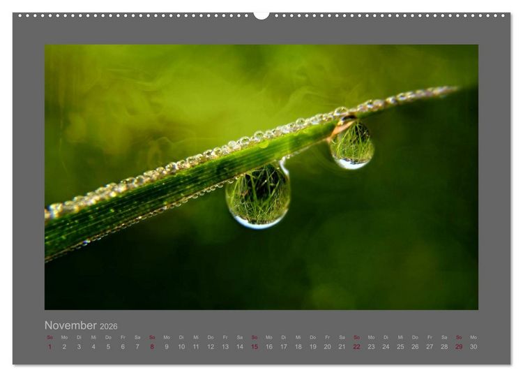 Produktbild: Kleine, gro&szlig;e Tropfenwelt (hochwertiger Premium Wandkalender 2026 DIN A2 quer), Kunstdruck in Hochglanz