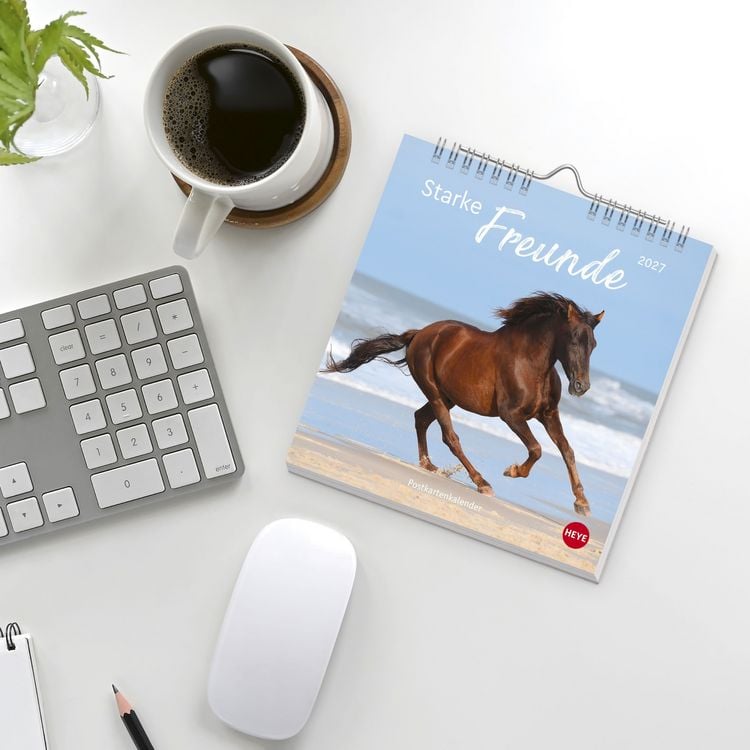 Produktbild: Pferde Postkartenkalender 2027 - Starke Freunde