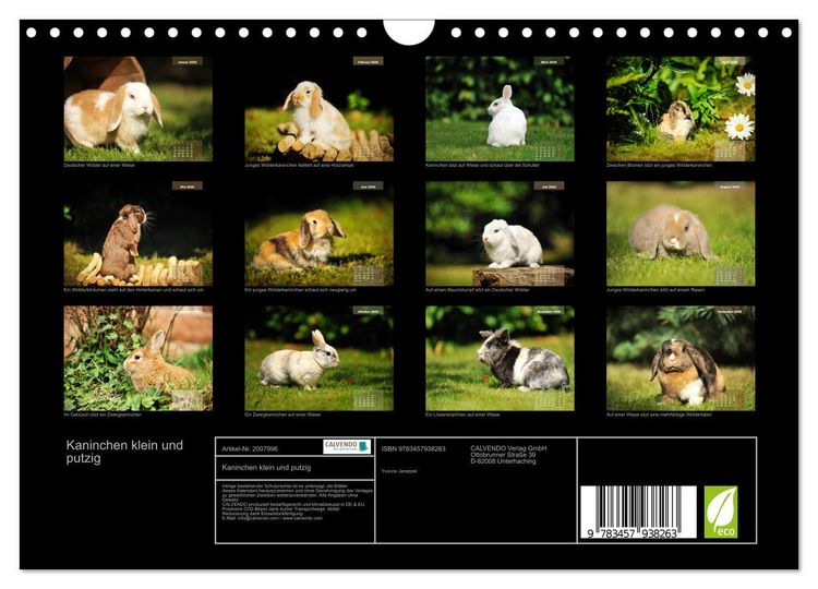 Produktbild: Kaninchen klein und putzig (Wandkalender 2026 DIN A4 quer), CALVENDO Monatskalender