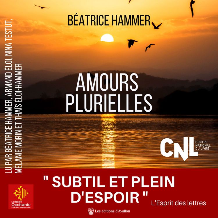 Produktbild: Amours plurielles
