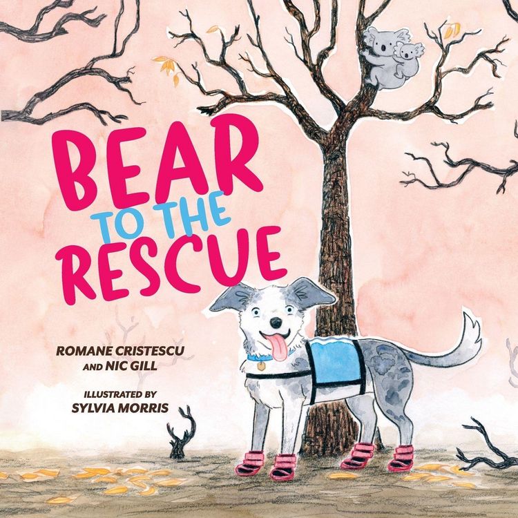 Produktbild: Bear to the Rescue