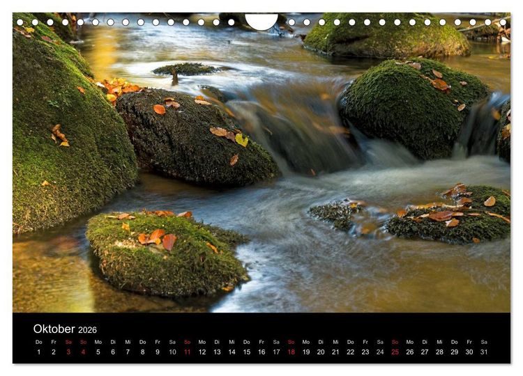 Produktbild: Herbst im Nationalpark Bayerischer Wald (Wandkalender 2026 DIN A4 quer), CALVENDO Monatskalender
