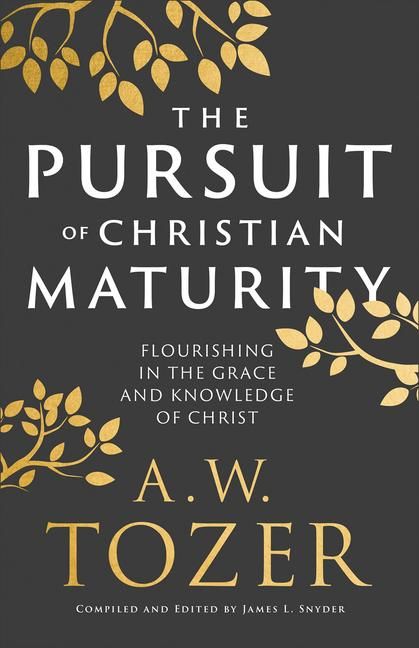 Produktbild: The Pursuit of Christian Maturity