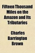 Produktbild: Fifteen Thousand Miles on the Amazon and Its Tributaries