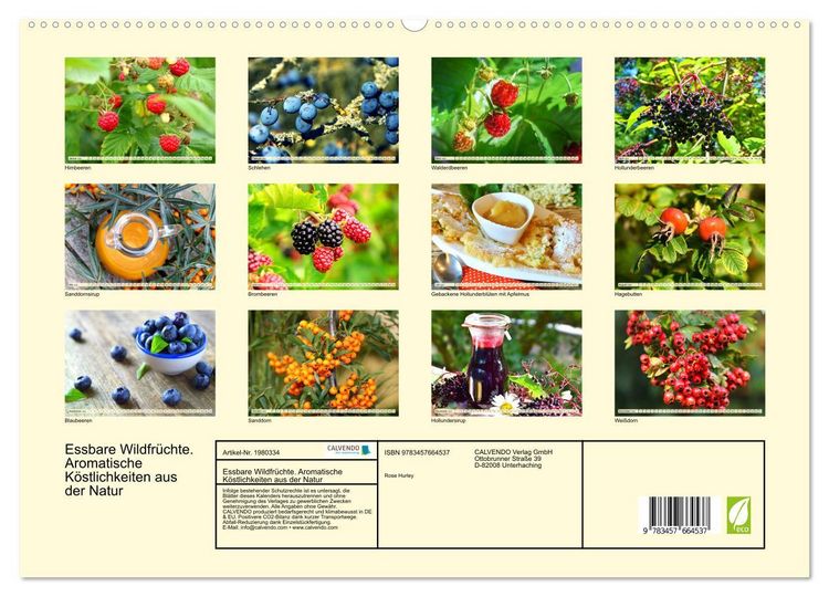 Produktbild: Essbare Wildfr&uuml;chte. Aromatische K&ouml;stlichkeiten aus der Natur (hochwertiger Premium Wandkalender 2026 DIN A2 quer), Kunstdruck in Hochglanz