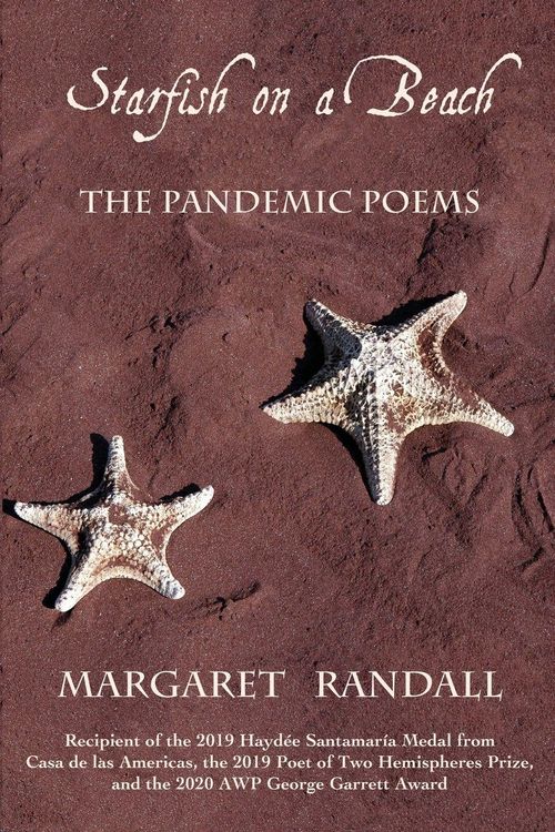 Produktbild: Starfish on a Beach