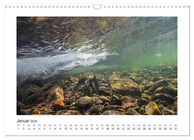 Produktbild: Unter Wasser in B&auml;chen und Fl&uuml;ssen (Wandkalender 2026 DIN A3 quer), CALVENDO Monatskalender