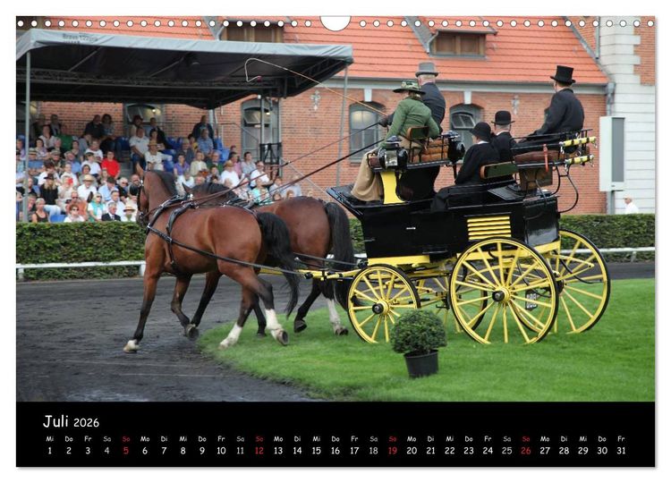 Produktbild: CIAT - Historischer Fahrsport in Celle (Wandkalender 2026 DIN A3 quer), CALVENDO Monatskalender