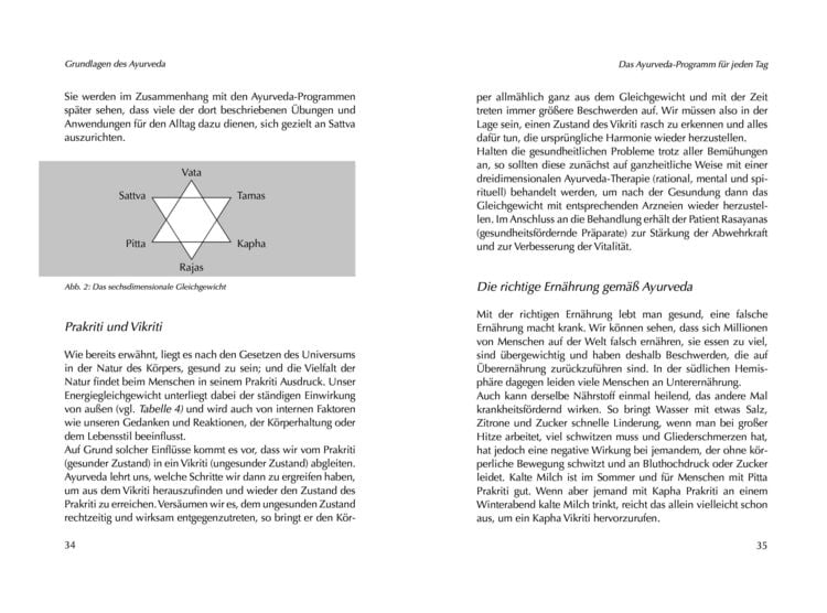 Produktbild: Das Ayurveda Programm. Ganzheitlich gesund durch jeden Tag. Der Ayurveda Klassiker