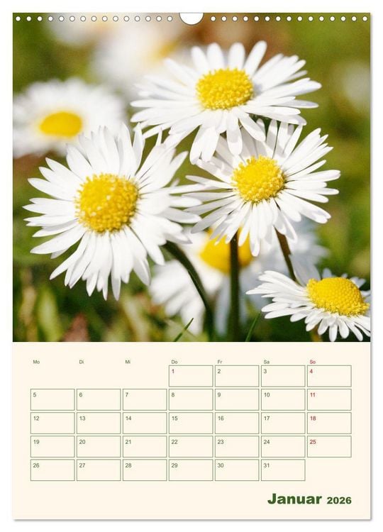 Produktbild: Vertr&auml;umte G&auml;nsebl&uuml;mchen (Wandkalender 2026 DIN A3 hoch), CALVENDO Monatskalender