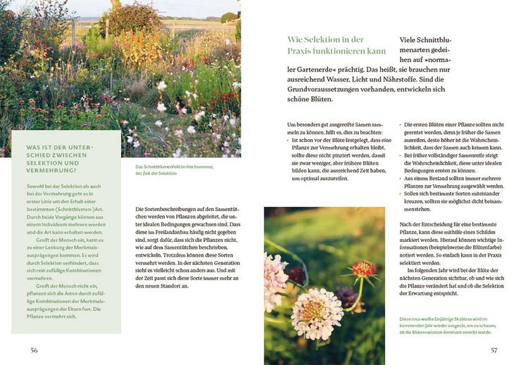 Produktbild: Bl&uuml;tenreich &ndash; Schnittblumen mit Herz und Hand vermehren
