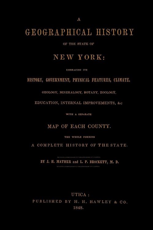 Produktbild: A Geographical History of the State of N