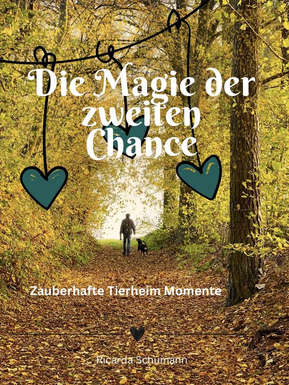 Produktbild: Die Magie der zweiten Chance