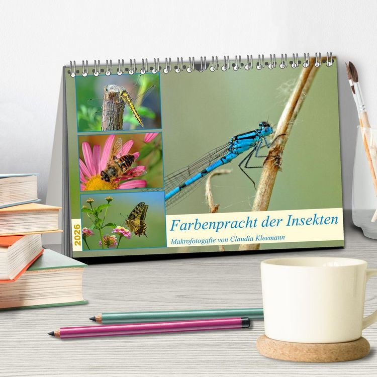 Produktbild: Farbenpracht der Insekten (Tischkalender 2026 DIN A5 quer), CALVENDO Monatskalender