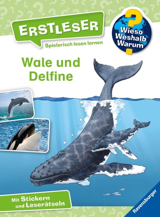 Produktbild: Wieso? Weshalb? Warum? Erstleser, Band 3: Wale und Delfine