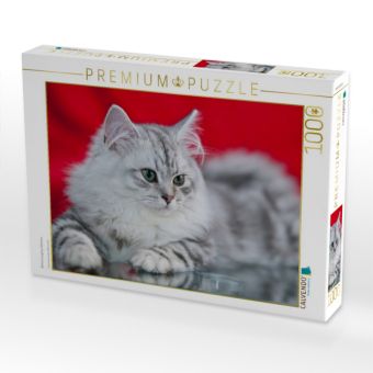 Produktbild: CALVENDO Puzzle Britisch Langhaar K&auml;tzchen | 1000 Teile Lege-Gr&ouml;&szlig;e 64x48cm Foto-Puzzle f&uuml;r gl&uuml;ckliche Stunden