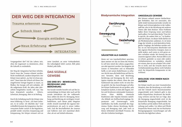 Produktbild: KastrationsTrauma - Wenn der K&ouml;rper nicht mehr zur&uuml;ckfindet