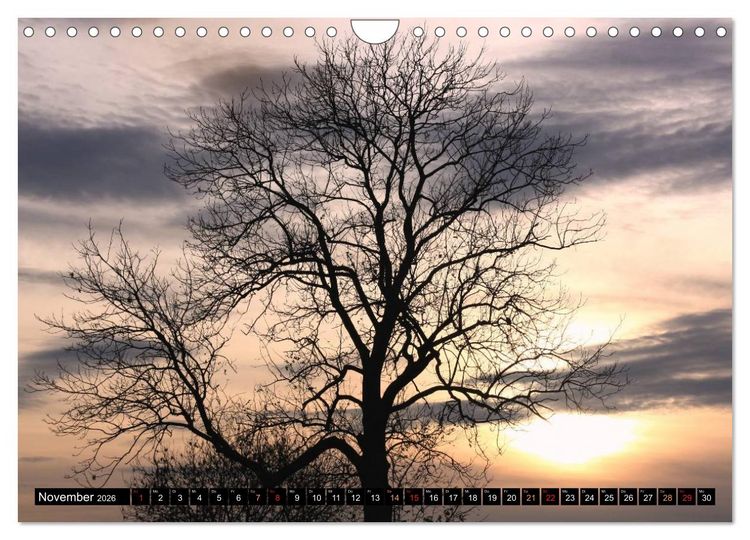 Produktbild: Momente der Stille (Wandkalender 2026 DIN A4 quer), CALVENDO Monatskalender