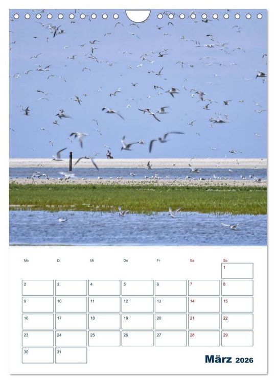 Produktbild: Texel - Momente die verzaubern (Wandkalender 2026 DIN A4 hoch), CALVENDO Monatskalender