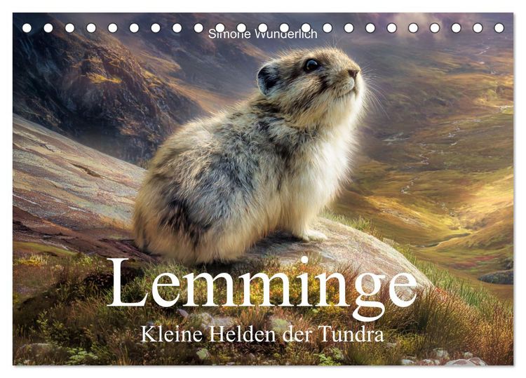 Produktbild: Lemminge - Kleine Helden der Tundra (Tischkalender 2027 DIN A5 quer), CALVENDO Monatskalender