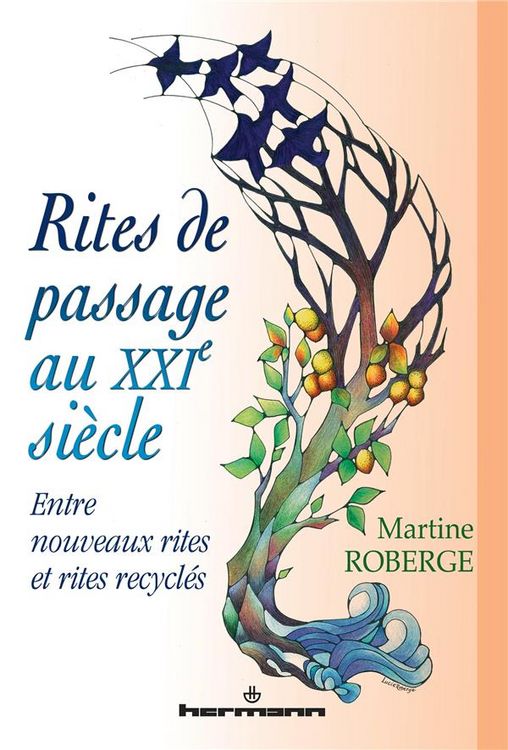 Produktbild: Rites de passage au xxie siecle