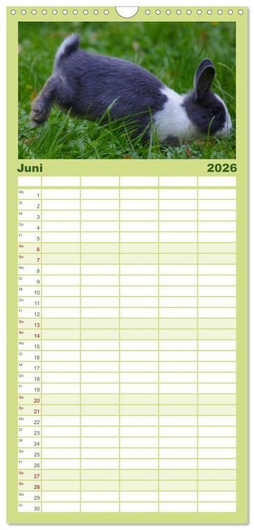 Produktbild: Familienplaner 2026 - Liebenswerte Zwergkaninchen mit 5 Spalten (Wandkalender, 21 x 45 cm) CALVENDO