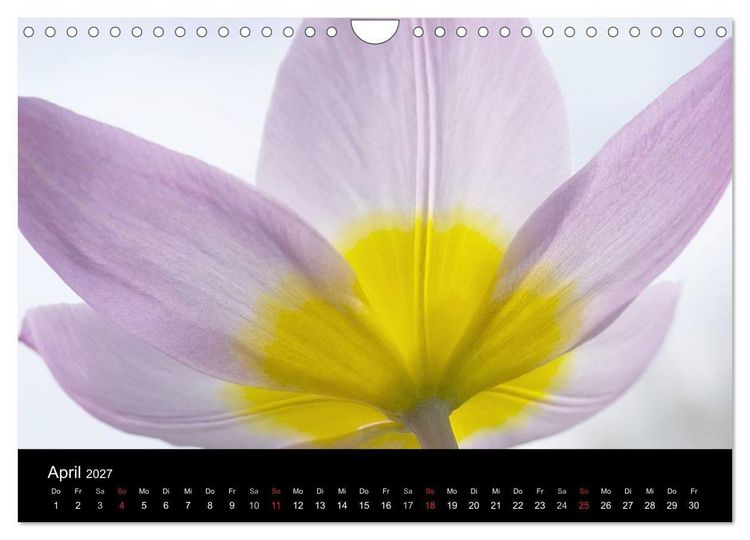 Produktbild: Blumige Farben (Wandkalender 2027 DIN A4 quer), CALVENDO Monatskalender
