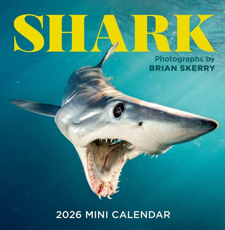 Produktbild: Shark Mini Wall Calendar 2026