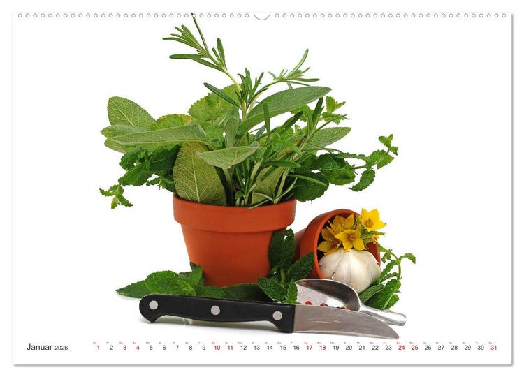 Produktbild: Gem&uuml;se, so gesund (hochwertiger Premium Wandkalender 2026 DIN A2 quer), Kunstdruck in Hochglanz