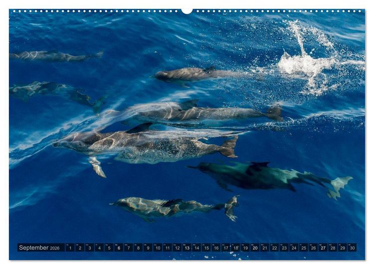 Produktbild: Grandioses Canaria (Wandkalender 2026 DIN A2 quer), CALVENDO Monatskalender