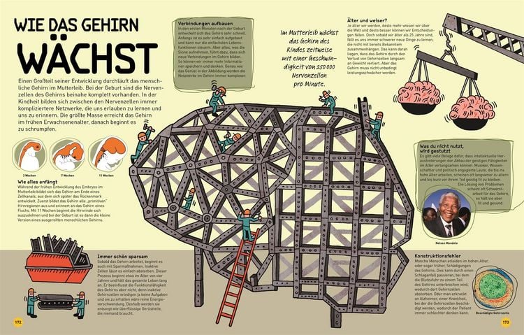 Produktbild: So funktioniert dein Superhirn