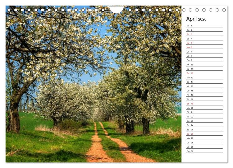 Produktbild: Landschaften im Harz (Wandkalender 2026 DIN A4 quer), CALVENDO Monatskalender