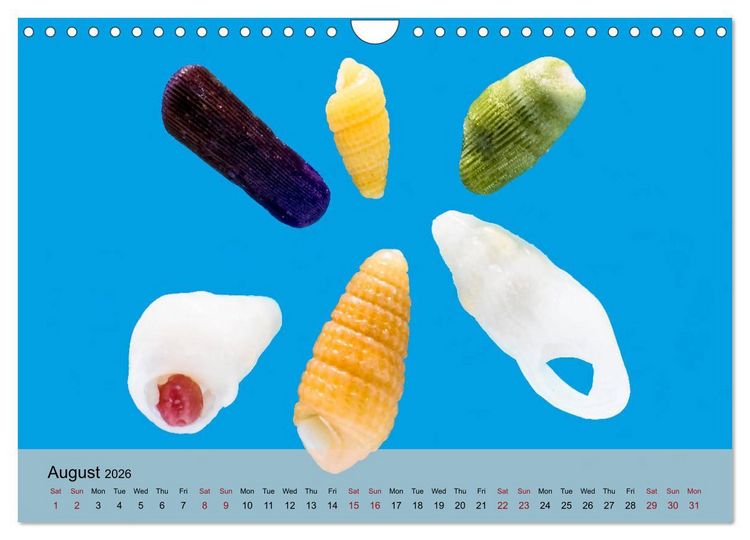 Produktbild: bermuda pink (Wall Calendar 2026 DIN A4 landscape), CALVENDO 12 Month Wall Calendar