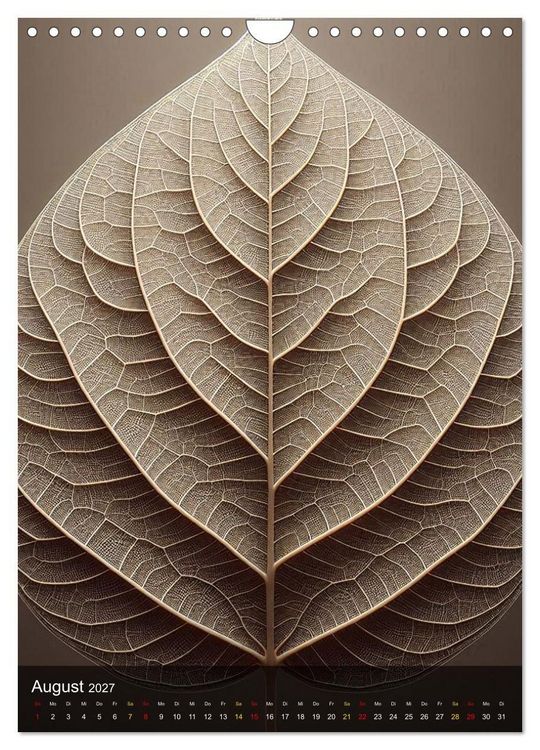 Produktbild: Geometrie der Natur &ndash; Formen, Muster, Strukturen (Wandkalender 2027 DIN A4 hoch), CALVENDO Monatskalender