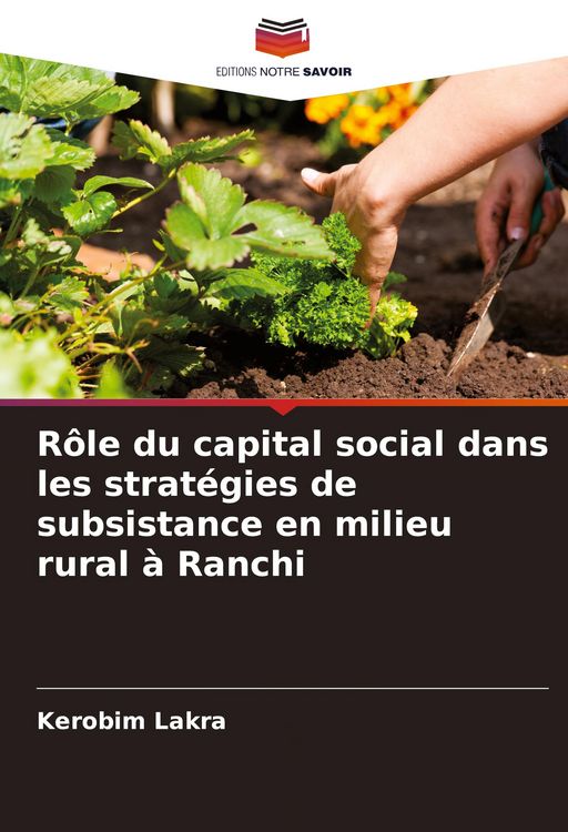 Produktbild: R&ocirc;le du capital social dans les strat&eacute;gies de subsistance en milieu rural &agrave; Ranchi