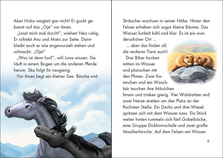Produktbild: Wildpferde - mutig und frei (Band 6) - Im Revier des B&auml;ren