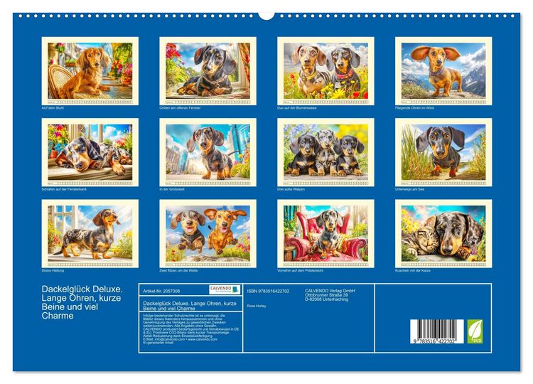 Produktbild: Dackelgl&uuml;ck Deluxe. Lange Ohren, kurze Beine und viel Charme (hochwertiger Premium Wandkalender 2026 DIN A2 quer), Kunstdruck in Hochglanz