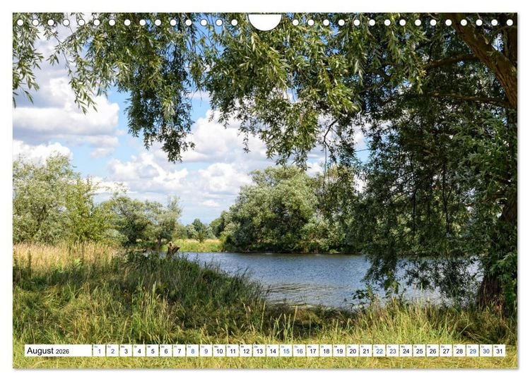 Produktbild: Ein Sommer im Havelland - Spaziergang entlang am Havelradweg (Wandkalender 2026 DIN A4 quer), CALVENDO Monatskalender