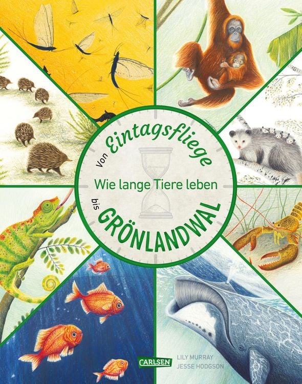 Produktbild: Von Eintagsfliege bis Gr&ouml;nlandwal