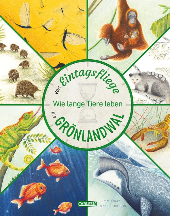 Produktbild: Von Eintagsfliege bis Gr&ouml;nlandwal