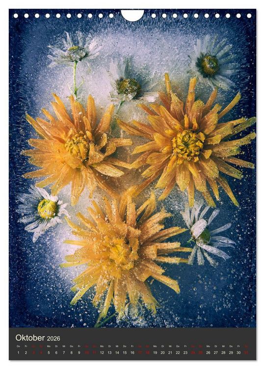 Produktbild: Magische Eisblumen (Wandkalender 2026 DIN A4 hoch), CALVENDO Monatskalender