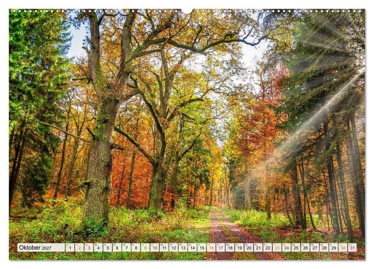 Produktbild: Naturpark Reinhardswald - Wo die Sababurg auf die Weser trifft (Wandkalender 2027 DIN A2 quer), CALVENDO Monatskalender