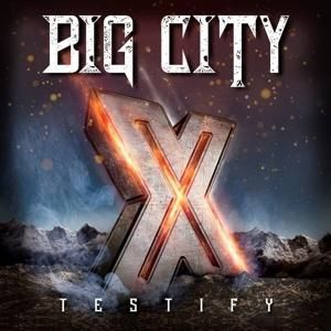Produktbild: Testify X